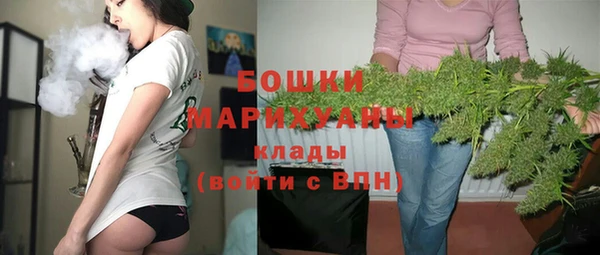 ALPHA PVP Козельск