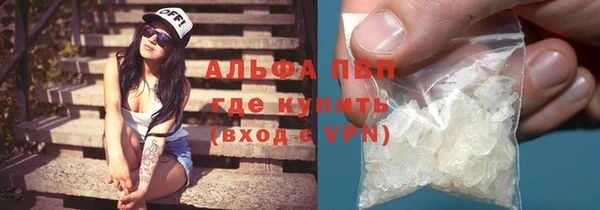 стаф Алексин