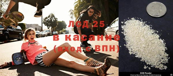 стаф Алексин