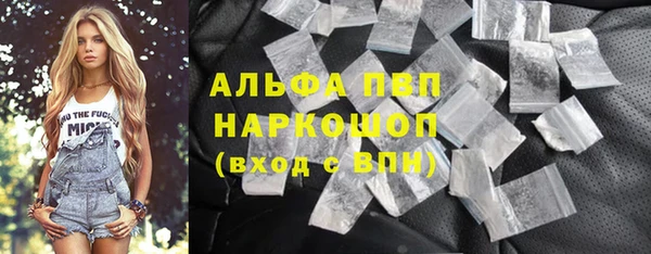 стаф Алексин