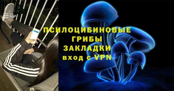 2c-b Алзамай