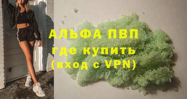 стаф Алексин