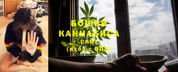 2c-b Алзамай
