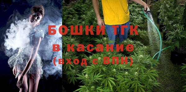 стаф Алексин