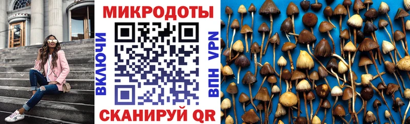 Псилоцибиновые грибы мицелий  Приозерск 
